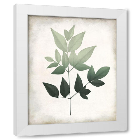 Vintage Botanical Greens 2 White Modern Wood Framed Art Print by Allen, Kimberly