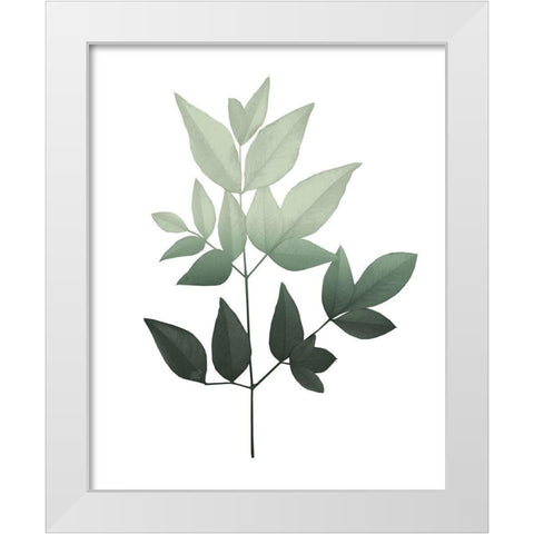 Botanical Greens 3 White Modern Wood Framed Art Print by Kimberly, Allen