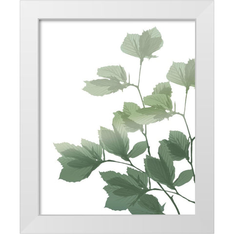 Silhouette Branch White Modern Wood Framed Art Print by Kimberly, Allen