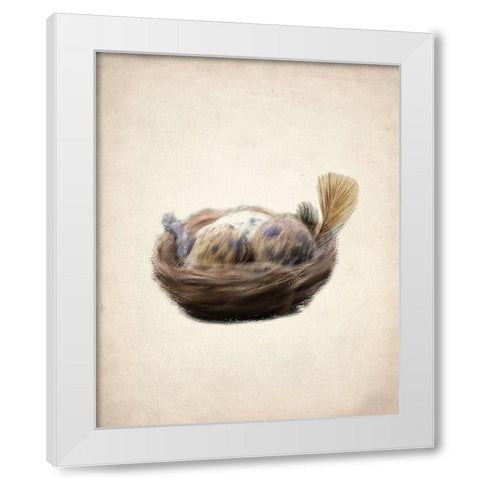 Natural 2 White Modern Wood Framed Art Print by Kimberly, Allen