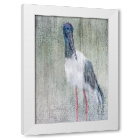 Exotic White Modern Wood Framed Art Print by Kimberly, Allen