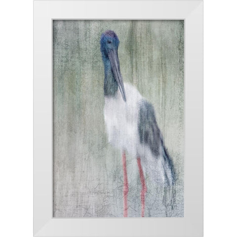 Exotic White Modern Wood Framed Art Print by Kimberly, Allen