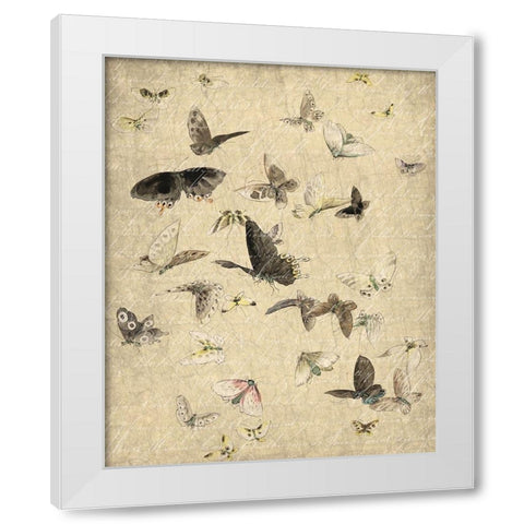 Butterflies in Flight 1 White Modern Wood Framed Art Print by Kimberly, Allen