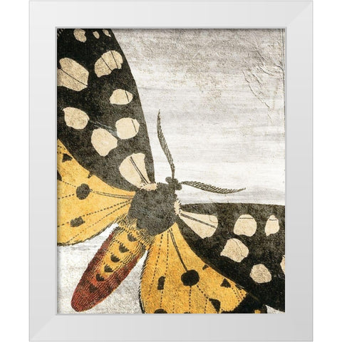 Vintage Butterfly 1 White Modern Wood Framed Art Print by Kimberly, Allen