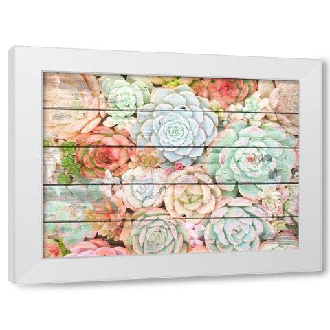 Succulent Cluster White Modern Wood Framed Art Print by Kimberly, Allen