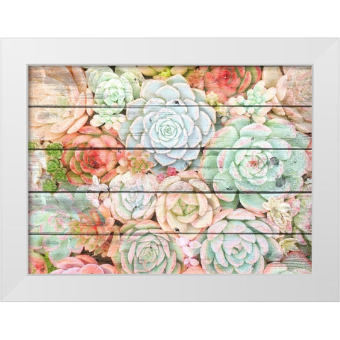 Succulent Cluster White Modern Wood Framed Art Print by Kimberly, Allen