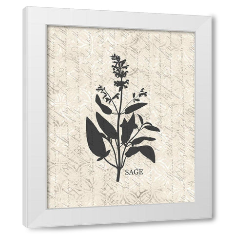 Fresh Sage White Modern Wood Framed Art Print by Kimberly, Allen