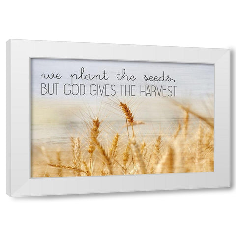 The Harvest White Modern Wood Framed Art Print by Kimberly, Allen