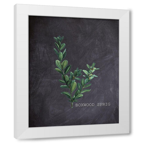 Blackboard Botanical 1 White Modern Wood Framed Art Print by Kimberly, Allen