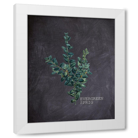 Blackboard Botanical 3 White Modern Wood Framed Art Print by Kimberly, Allen