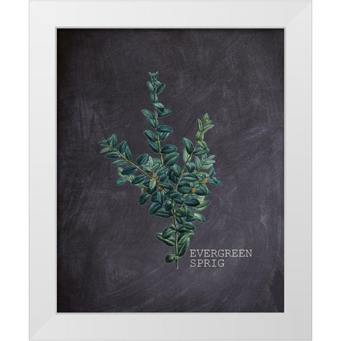Blackboard Botanical 3 White Modern Wood Framed Art Print by Kimberly, Allen