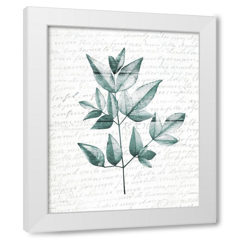 Pressed Leaves 1 White Modern Wood Framed Art Print by Kimberly, Allen