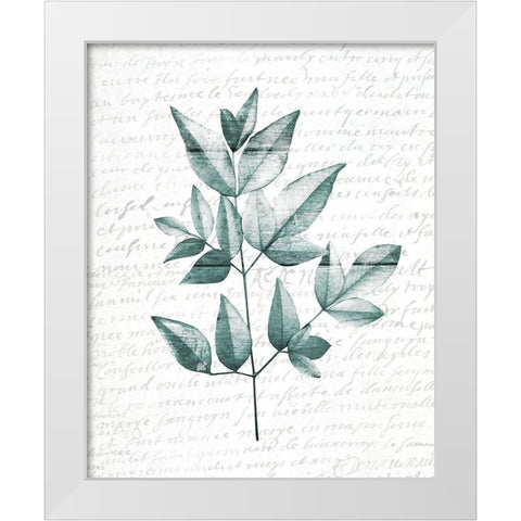 Pressed Leaves 1 White Modern Wood Framed Art Print by Kimberly, Allen