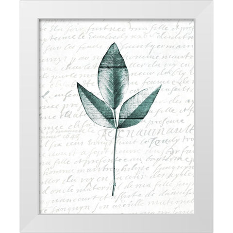 Pressed Leaves 2 White Modern Wood Framed Art Print by Kimberly, Allen