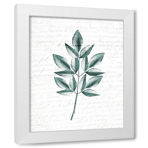 Pressed Leaves 3 White Modern Wood Framed Art Print by Kimberly, Allen