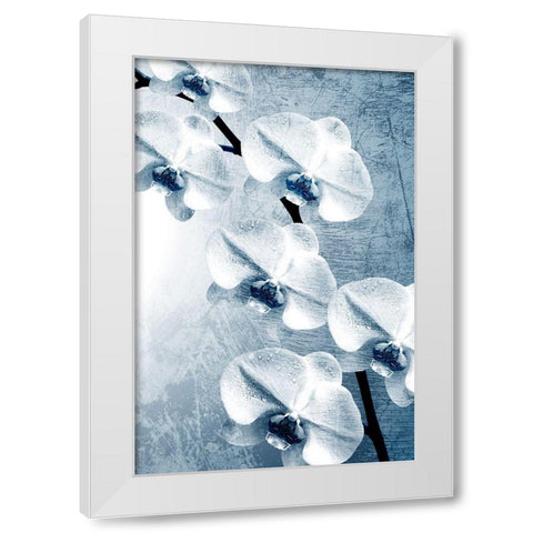 Climbing Orchids 2 White Modern Wood Framed Art Print by Kimberly, Allen