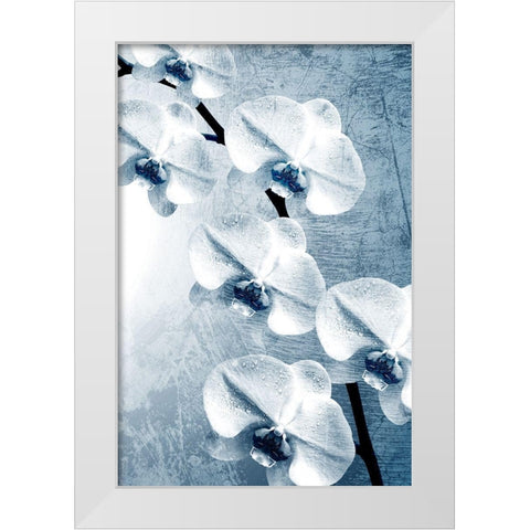 Climbing Orchids 2 White Modern Wood Framed Art Print by Kimberly, Allen