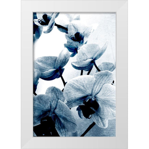 Climbing Orchids White Modern Wood Framed Art Print by Kimberly, Allen