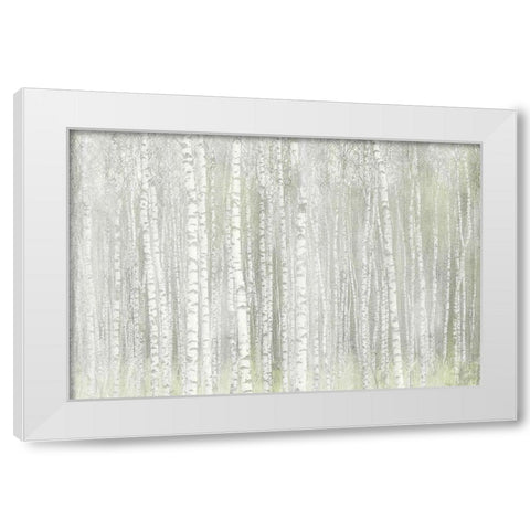 Into the Birches White Modern Wood Framed Art Print by Kimberly, Allen