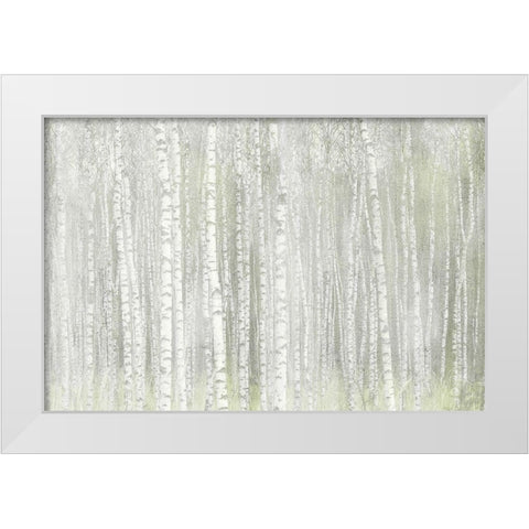 Into the Birches White Modern Wood Framed Art Print by Kimberly, Allen