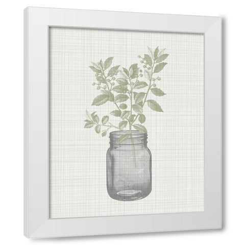 In the Jar 2 White Modern Wood Framed Art Print by Kimberly, Allen