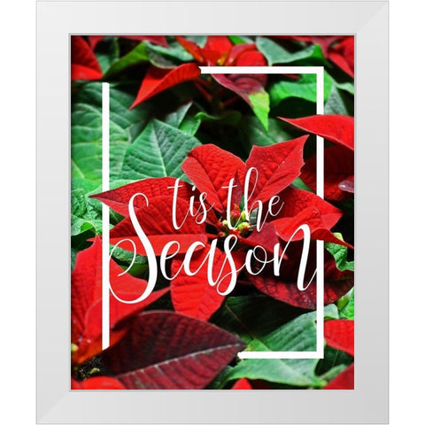 Tis the Season Foliage White Modern Wood Framed Art Print by Kimberly, Allen