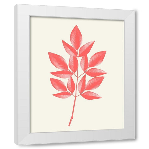 Coral Leaves 1 White Modern Wood Framed Art Print by Kimberly, Allen