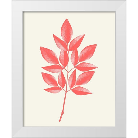 Coral Leaves 1 White Modern Wood Framed Art Print by Kimberly, Allen