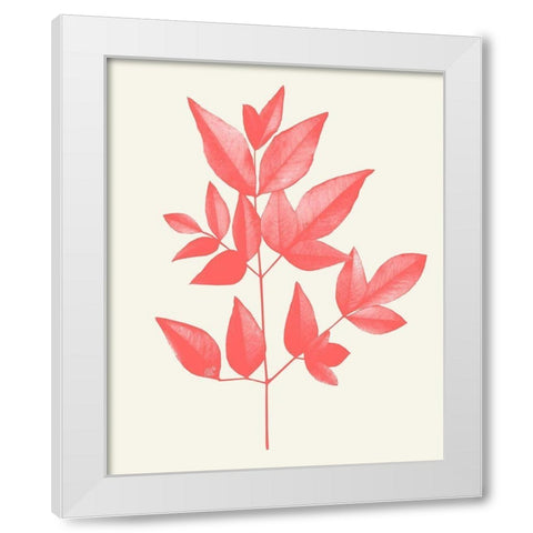 Coral Leaves 2 White Modern Wood Framed Art Print by Kimberly, Allen