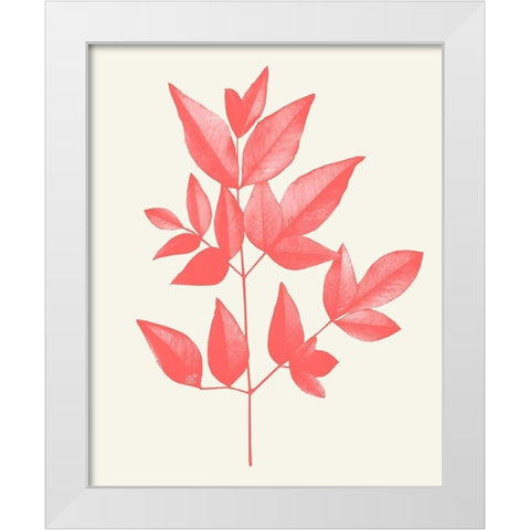 Coral Leaves 2 White Modern Wood Framed Art Print by Kimberly, Allen