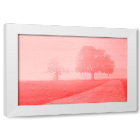 Dawn White Modern Wood Framed Art Print by Kimberly, Allen