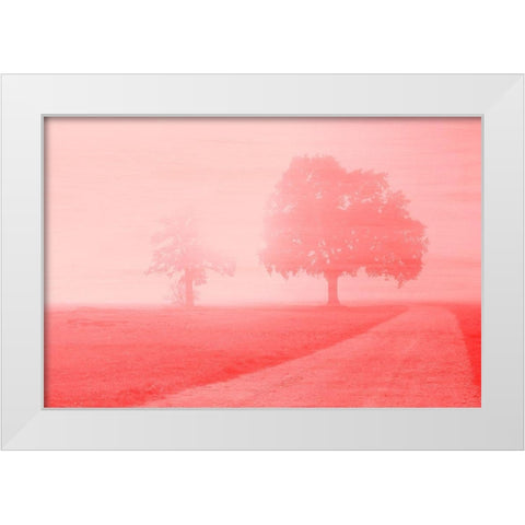 Dawn White Modern Wood Framed Art Print by Kimberly, Allen