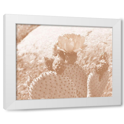 Follow Your Soul 1B White Modern Wood Framed Art Print by Kimberly, Allen