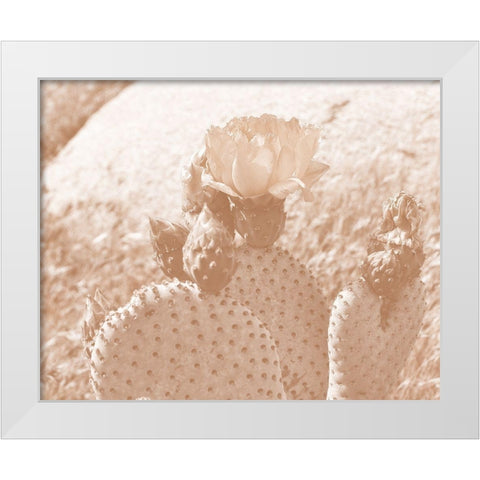 Follow Your Soul 1B White Modern Wood Framed Art Print by Kimberly, Allen