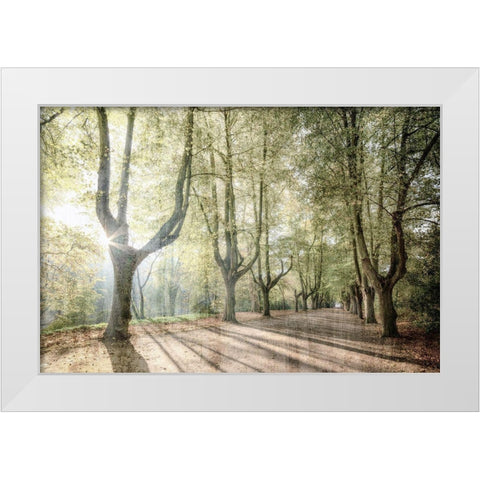 Sunlight Streams White Modern Wood Framed Art Print by Kimberly, Allen