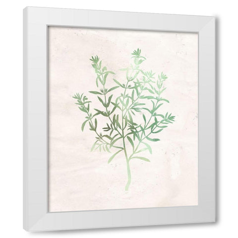Watercolor Herb 2 White Modern Wood Framed Art Print by Kimberly, Allen