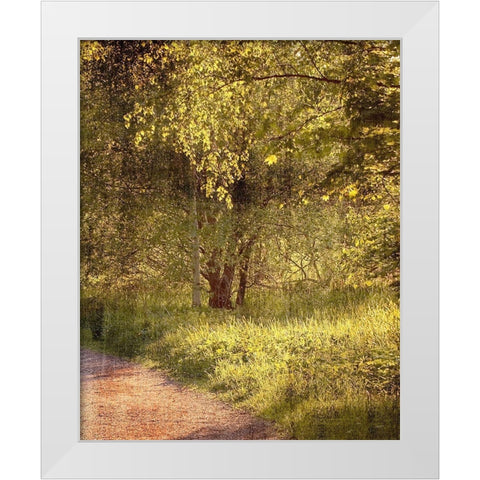 Sunlit Path 2 White Modern Wood Framed Art Print by Kimberly, Allen