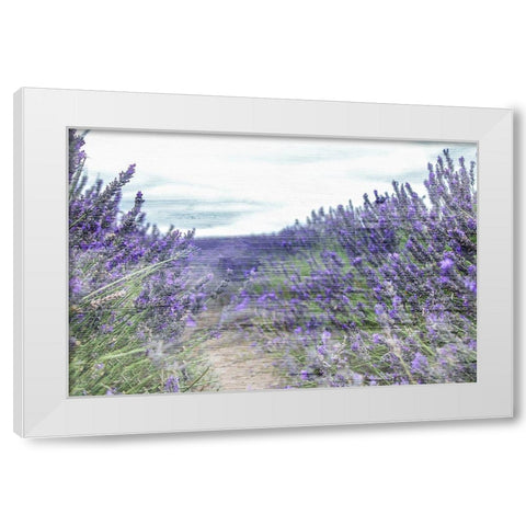 Lavender Field White Modern Wood Framed Art Print by Allen, Kimberly