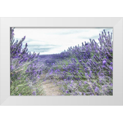 Lavender Field White Modern Wood Framed Art Print by Allen, Kimberly