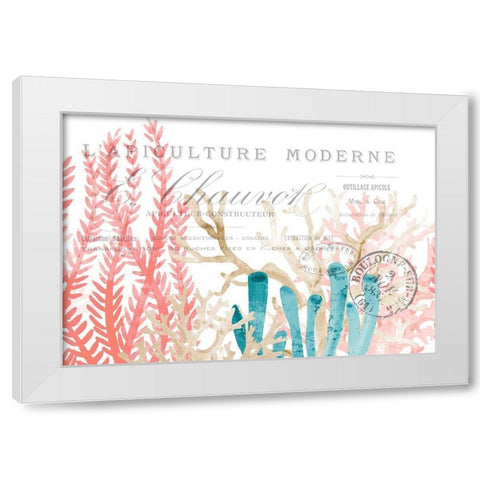 Coral Cove 1 White Modern Wood Framed Art Print by Kimberly, Allen