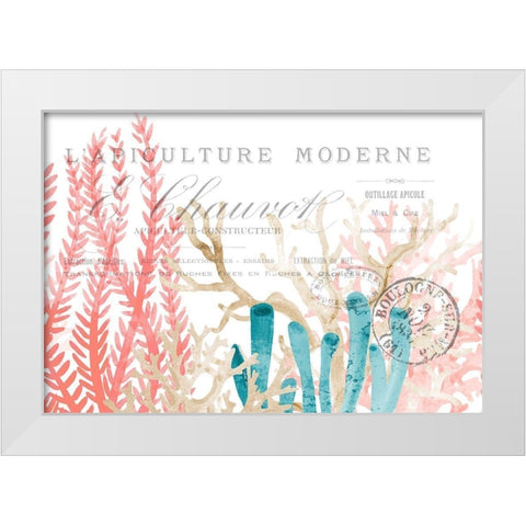 Coral Cove 1 White Modern Wood Framed Art Print by Kimberly, Allen