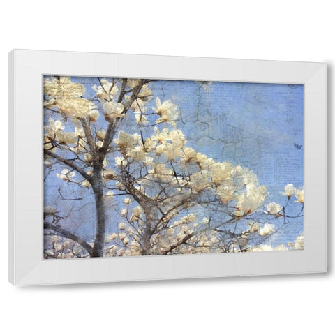 Magnolia Dream White Modern Wood Framed Art Print by Allen, Kimberly