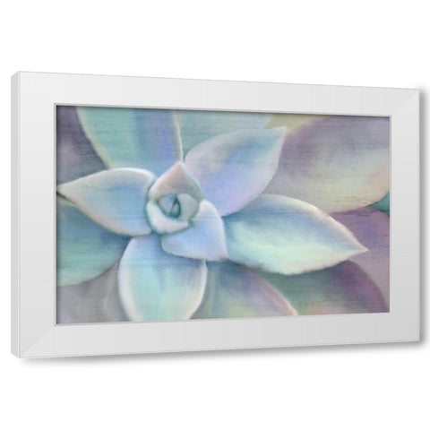 Succulent Center White Modern Wood Framed Art Print by Kimberly, Allen