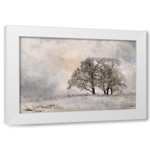 Winter Frost 2 White Modern Wood Framed Art Print by Allen, Kimberly