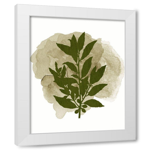Botanical Branch 1 White Modern Wood Framed Art Print by Kimberly, Allen