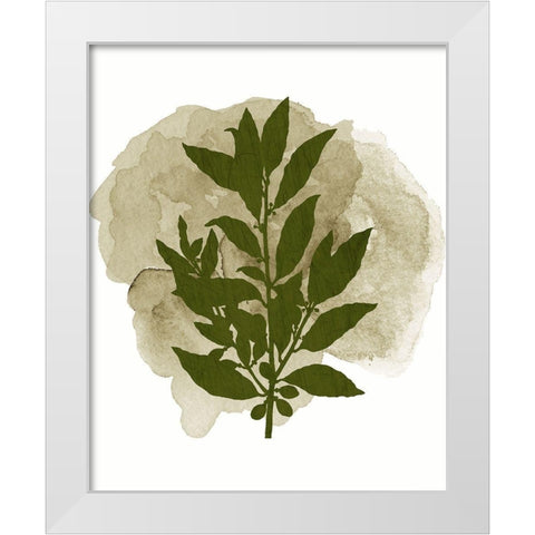 Botanical Branch 1 White Modern Wood Framed Art Print by Kimberly, Allen