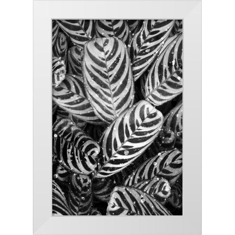 Midnight Palm Leaves 2 bw White Modern Wood Framed Art Print by Allen, Kimberly