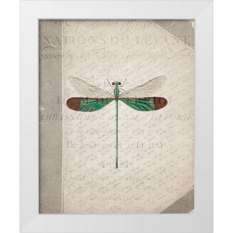 Dragonfly Book 2 White Modern Wood Framed Art Print by Allen, Kimberly