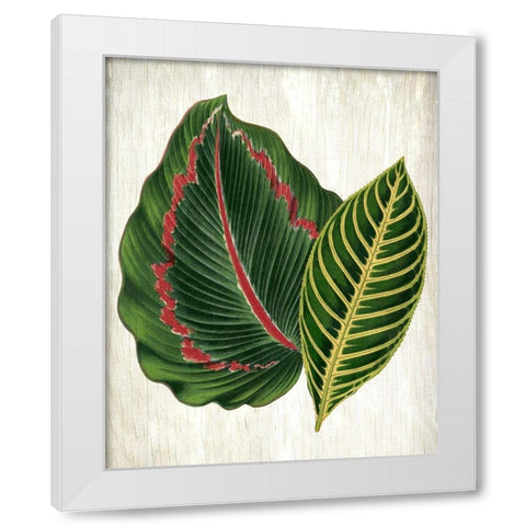 Botanical Greens 3 White Modern Wood Framed Art Print by Allen, Kimberly