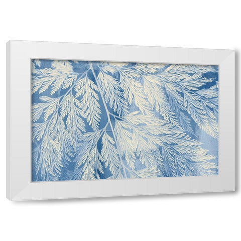 Fern White Modern Wood Framed Art Print by Allen, Kimberly